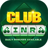 Bingo 101 Game Download